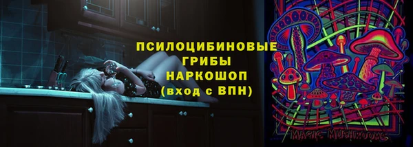 ECSTASY Осинники