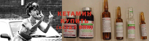сатива Абаза