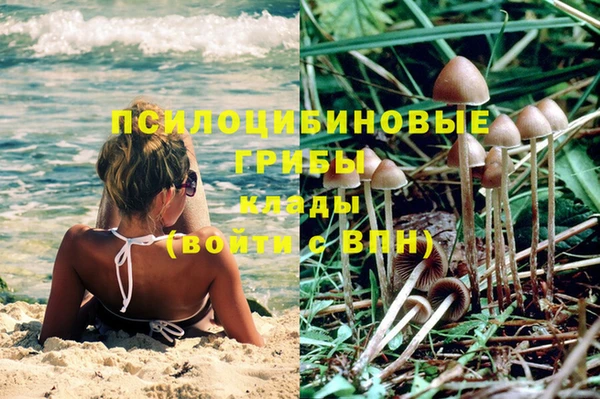 сатива Абаза